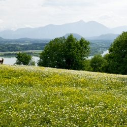 Frühling