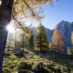 Herbst