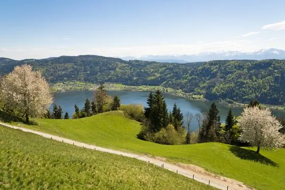 Frühling – Foto 3