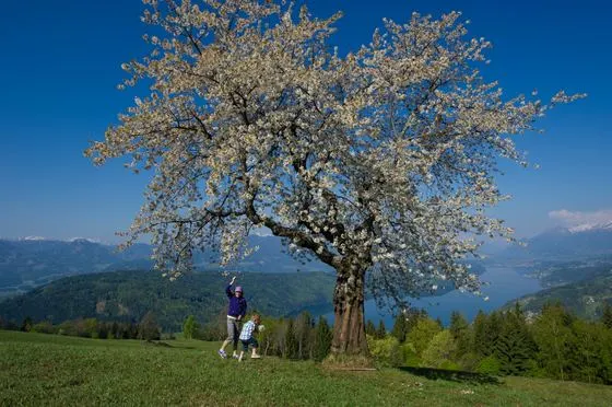 Frühling – Foto 6