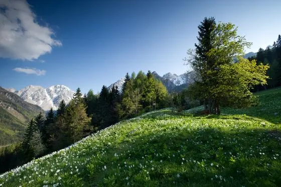 Frühling – Foto 10