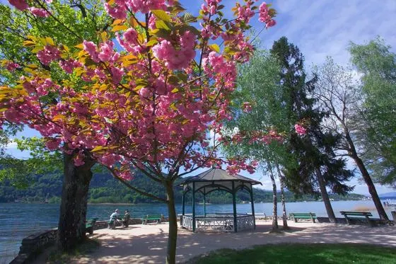 Frühling – Foto 11