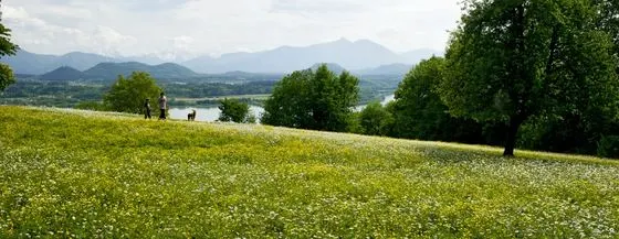 Frühling – Foto 14