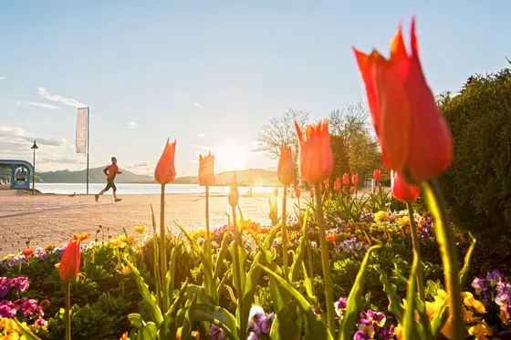 Frühling – Foto 19