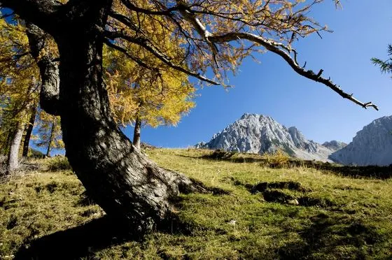 Herbst – Foto 2