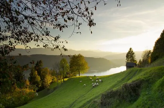 Herbst – Foto 8