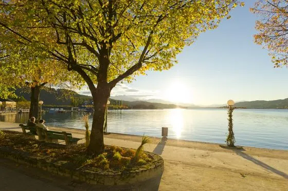 Herbst – Foto 12