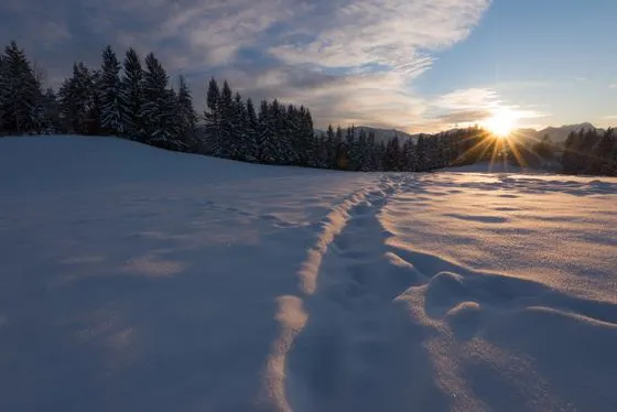Winter – Foto 10