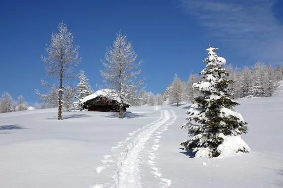 Winter – Foto 19